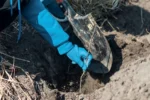 Mezar Temizliği Ne Sıklıkla Yapılmalıdır?
